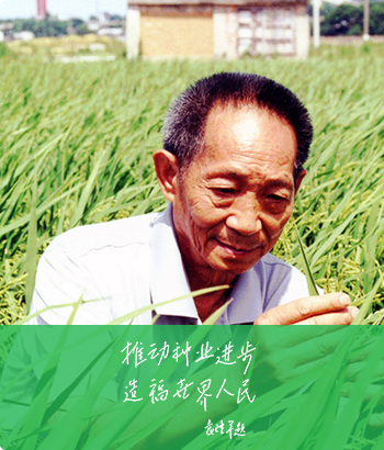 企業(yè)簡介
