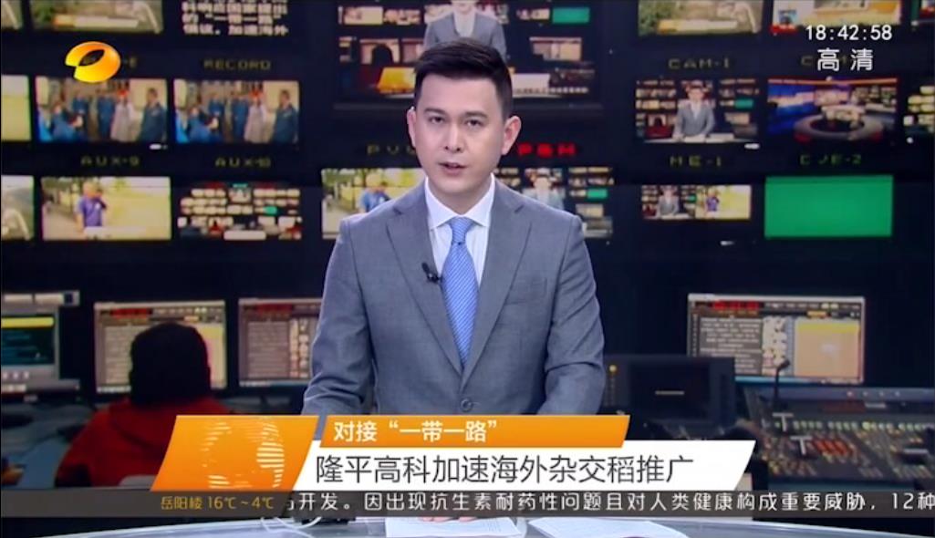 對(duì)接“一帶一路” 隆平高科加速海外雜交稻推廣