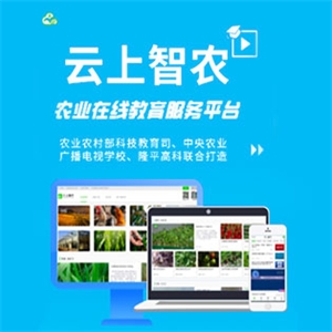 社會責(zé)任
